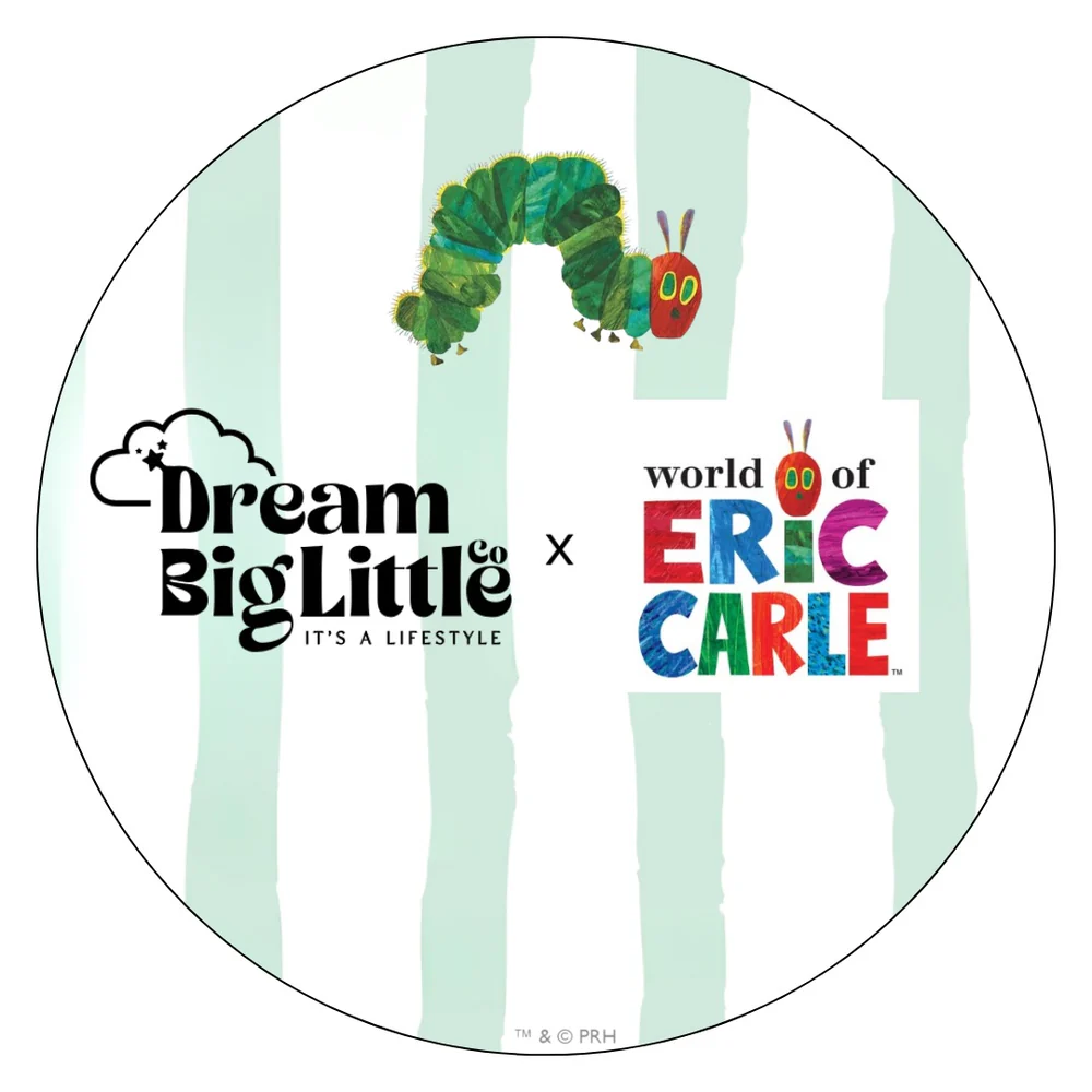 DREAM BIG LITTLE CO